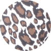 img Leopard Ivory Color